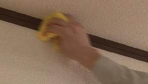アドキュットを使うとキュット拭き取れます。